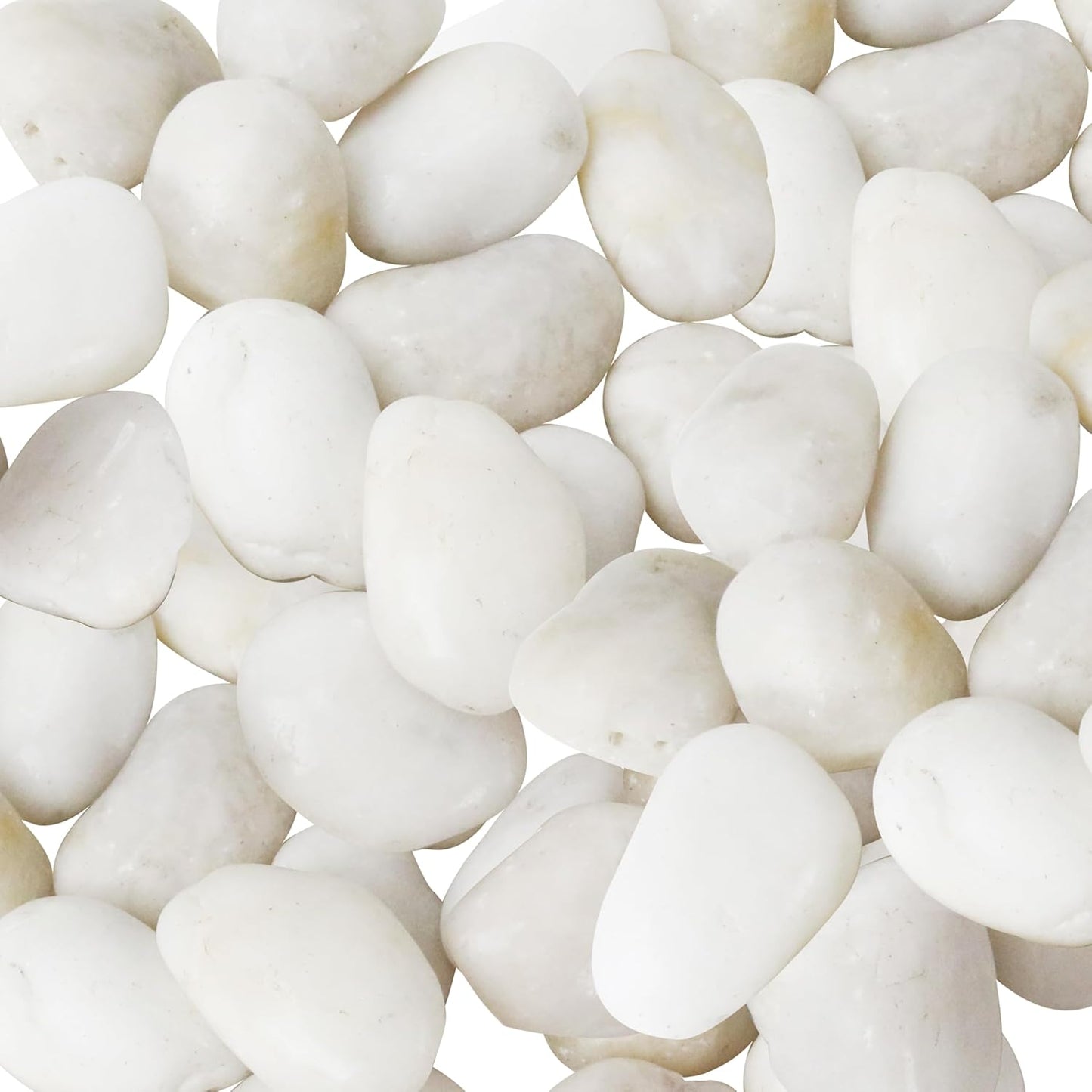 Sunnyglade 40 LBS White River Rocks, 2-3 Inch Natural Pebbles for Indoor Plants, High Polished Decorative Stones Vase Filler Fish Tank Aquariums Landscaping Garden Outdoor and Indoor DIY (40 Pounds)