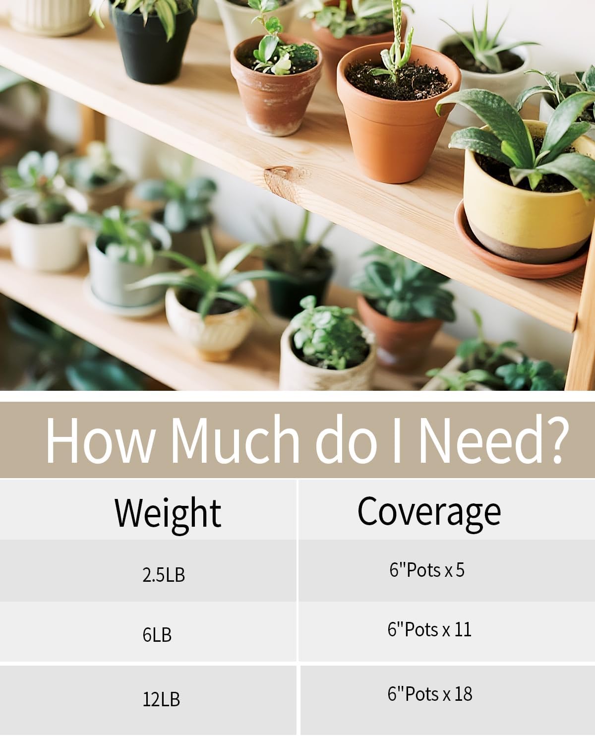 2.5lb Natural Polished River Rocks - 5/16-5/8 Inch Decorative Stones for Plants Garden Landscaping & Outdoor Decor Small Smooth Pebbles for Indoor/Outdoor