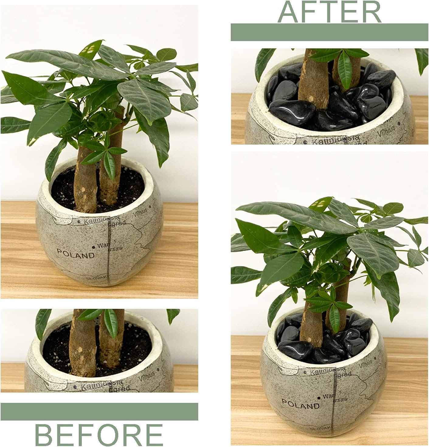 2lbs Black Pebbles for Indoor Plants, 0.8-1.2 inch Polished Stones. Decorative Black River Rocks for Potted Plants Vase Aquarium Landscaping and Outdoor Garden