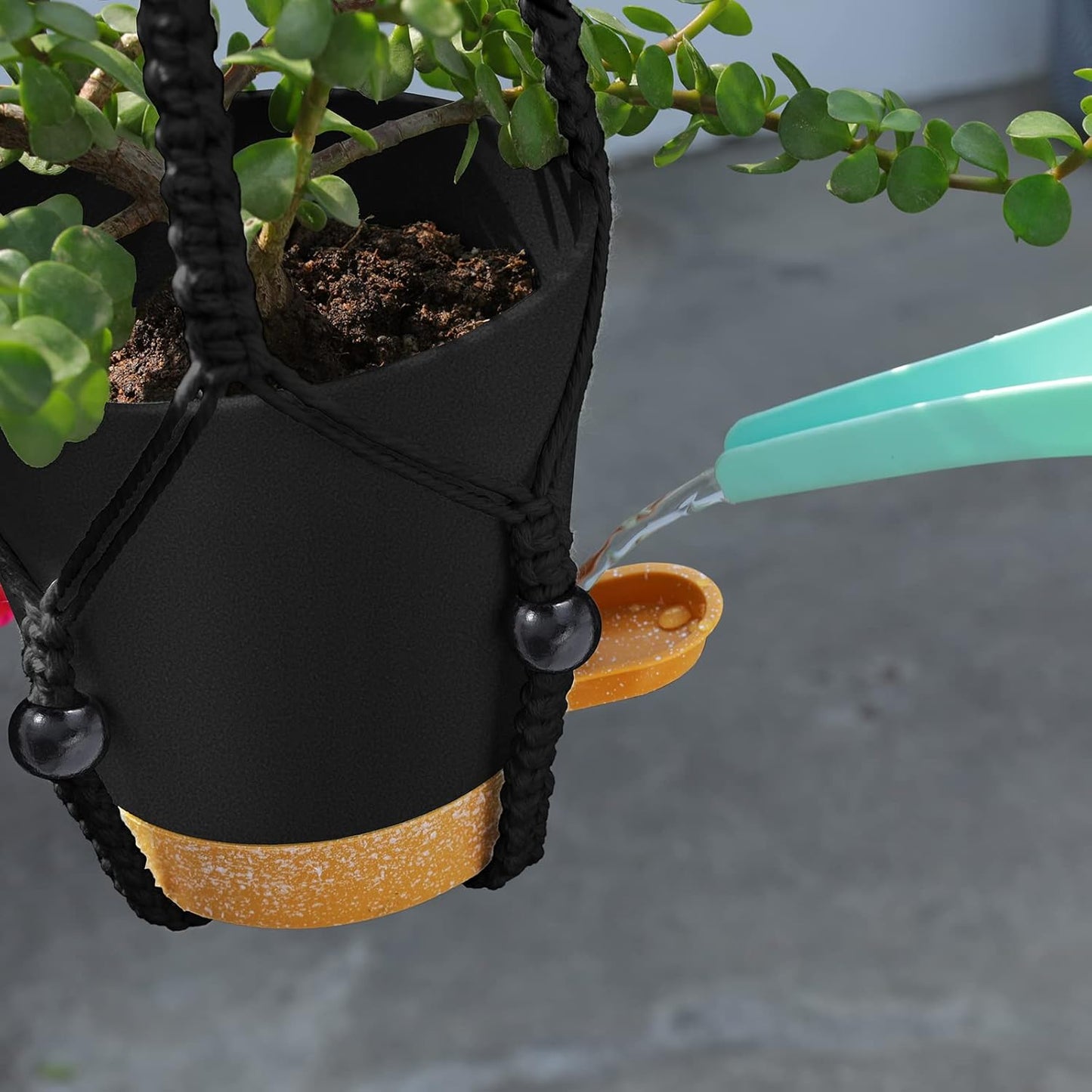 GARDIFE Hanging Planters for Indoor Plants,5Pcs Hanging Basket for Indoor Boho Home Decor,Macrame Plant Hanger,35 Inches,29Inch,23Inch, Ivory,Self Watering Planters, 7/6.5/6/5.5/5 Inch,Black&Black