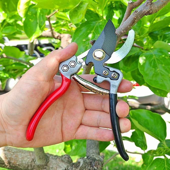 Ultra Sharp Germany Titanium Steel Pruning Shears - Cuts 3X Easier, Weak Hand Arthritis Snips, Rust-Resistant, Effortlessly 1-Inch Cut Capacity Garden Scissors, Ergonomic Handle (gt-06, 1)