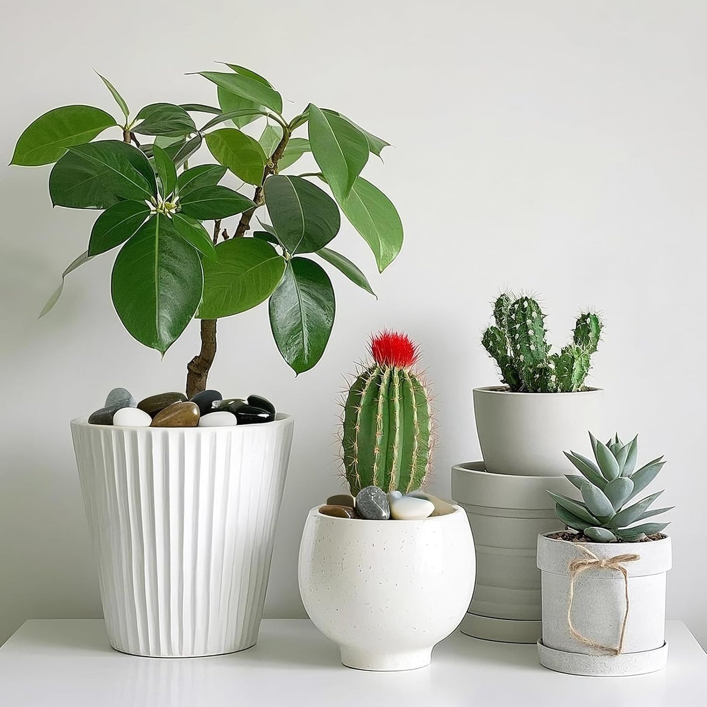 Pebbles for Indoor Plants, 2lbs Colorful River Rocks 1-2 Inch Decorative Pebbles for Planters, High Polished Stones for Vase Filler Fish Tank Landscaping Garden