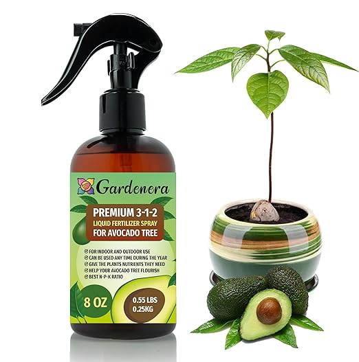 Gardenera Professional Avocado Spray Fertilizer Mist for Home Gardening | 3-1-2 Gentle Blend Mist for Healthy Leaves & Growth | Essential Nutrients for Avocados - 8oz