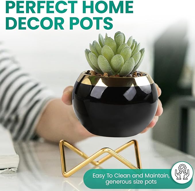 Set of 2 Artificial Succulents in Ceramic pots with Elegant Iron Frames and Delicate Flowers - Elevate Your Space with a Stunning Fake Plant Arrangement for Stylish Home Decor