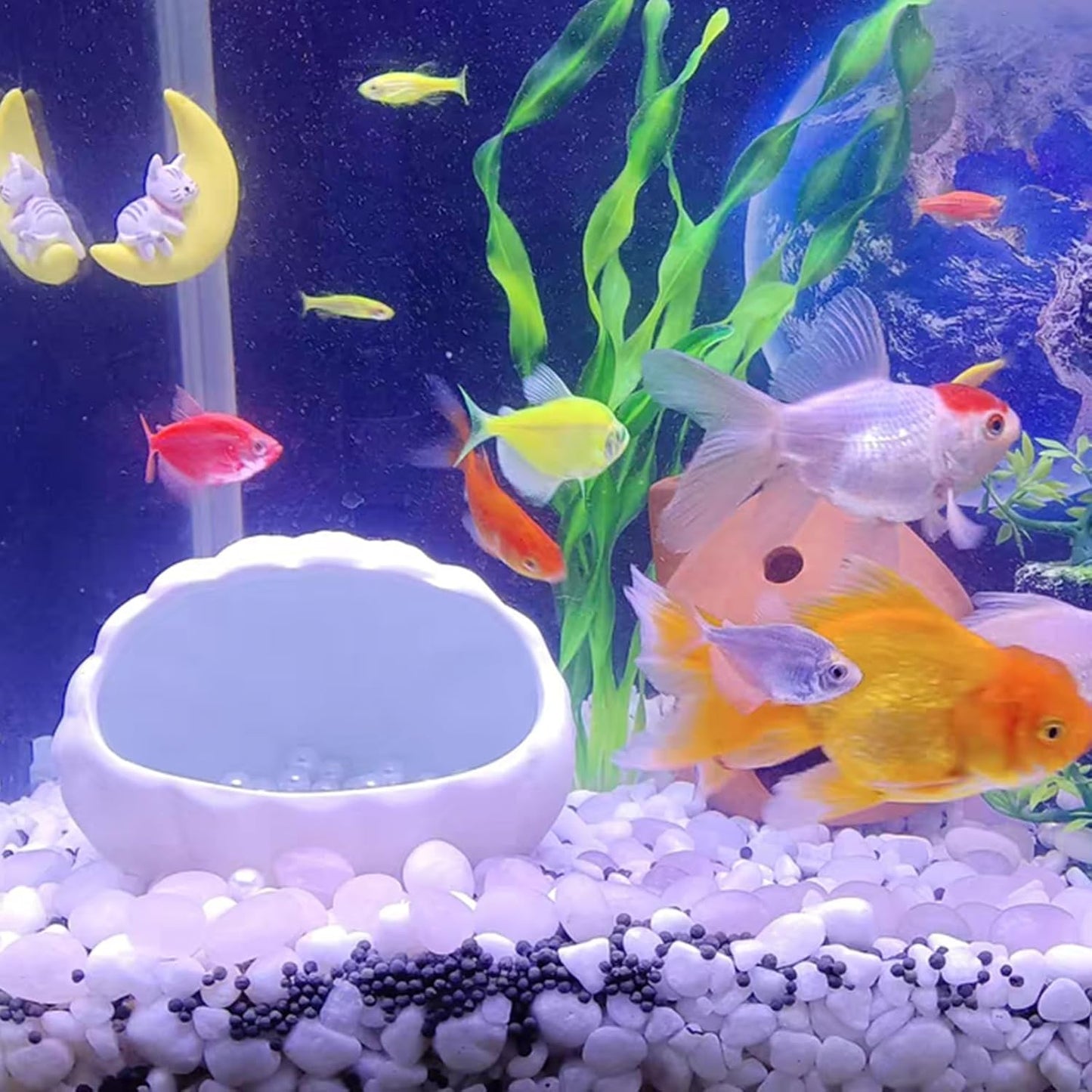 20 lbs White River Rocks for Landscaping, 0.5-1 Inch Pebbles for Indoor Plants, Decorative Stones for Succulent, Cactus, Vases, Aquariums, Crafting and Garden