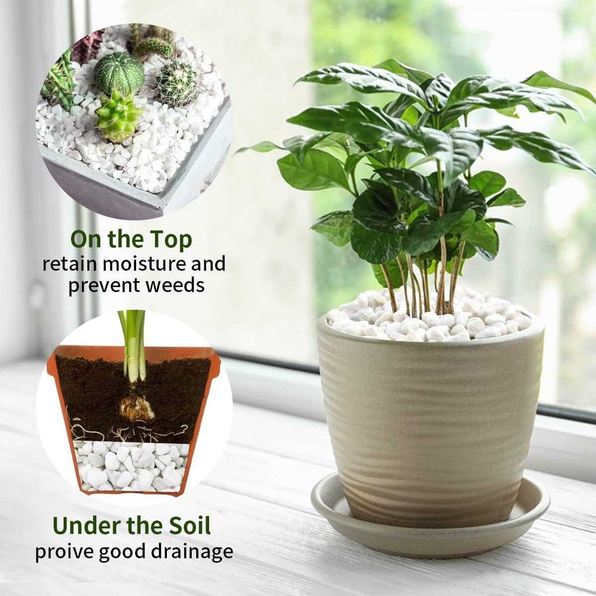 2 lbs White River Rocks for Plants, 3/8 Inch Gravel Pebbles for Plants. Decorative White Stones for Succulents, Cactus, Vase and Outdoor Garden Landscaping