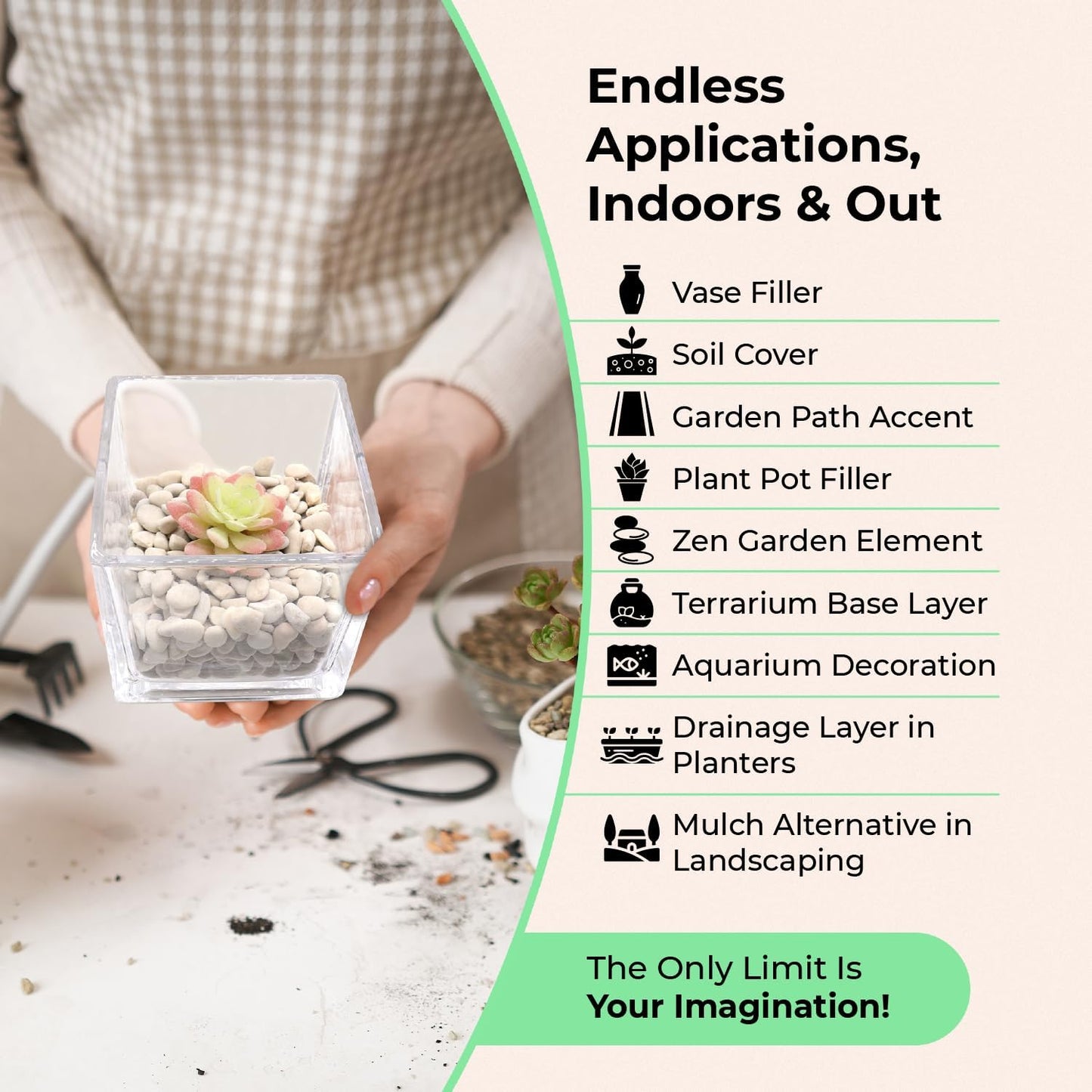 Rocks for Plants. White Lightly Polished Decorative Pebbles. 0.5 to 1 Inch 18 lbs. for Garden, Landscaping, Indoor, Vase fillers, Crafting, Succulents, pots, Plants