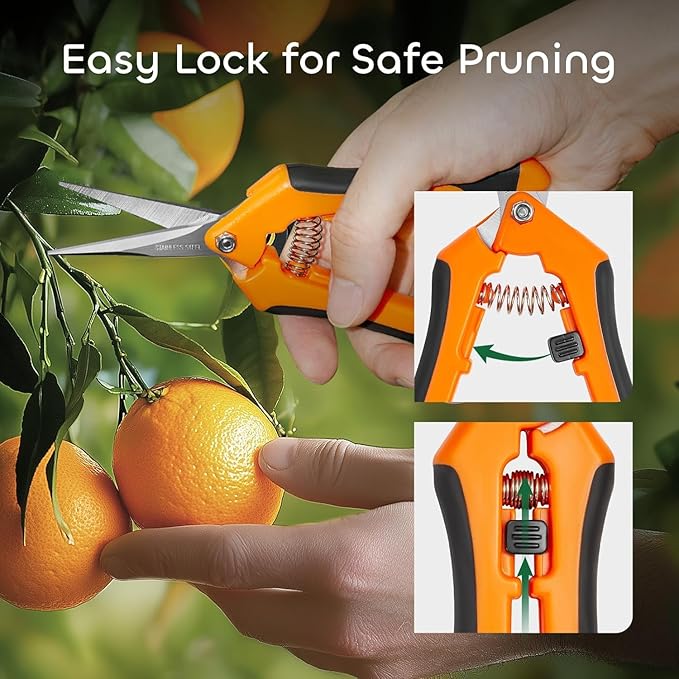 GROWNEER 1 Packs 6.5 Inch Pruning Shears Gardening Hand Pruning Snips Gardening Scissors with Straight Stainless Steel Precision Blades