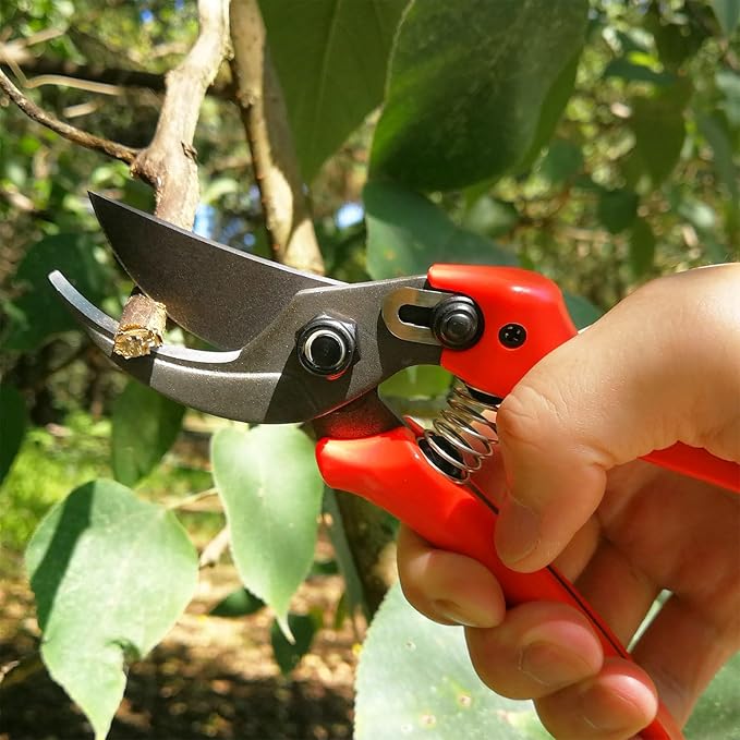 8" Lightweight Pruning Shears - Bypass Gardening Scissors, Sharp Garden Clippers with Low-friction Painted Stainless Steel Blade