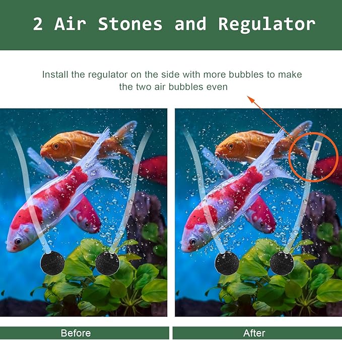 Lewisia 8W Solar Pond Aerator with Built-in 2400mAh Battery Backup, 3 Working Modes, 2 Air Stones, Solar Air Pump for Pond Fish Tank Hydroponics Bubble Oxygenator