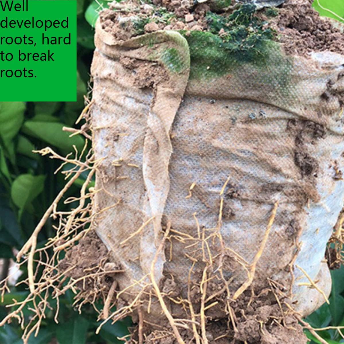 gardtree Plant Nursery Bags 6.3" x 7" 400PCS, Non-Woven Plant Grow Bags Fabric Seedling Starter Pots for Vegetable Flower Fruit Saplings Tree, Home Garden Supply