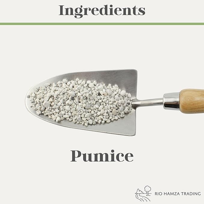 Horticultural Bonsai Pumice Soil Amendment (2 LB), Supplement for Bonsai and Cactus Indoor Plants