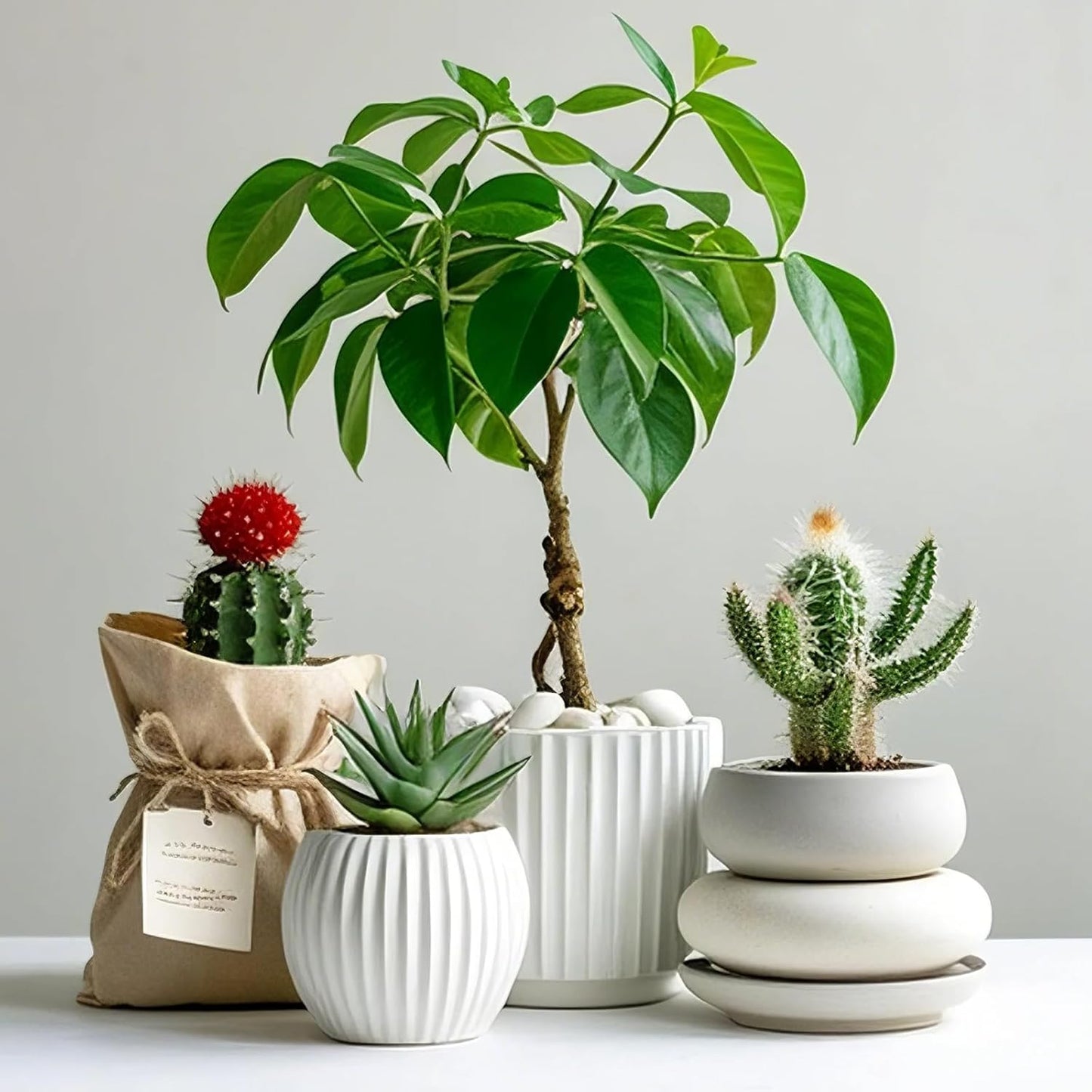 River Rocks, 20lbs White Pebbles for Indoor Plants, 1-2 Inch Aquarium Rocks, Natural Stones for Landscaping Garden Paving Plant Rocks Crafting Walkways