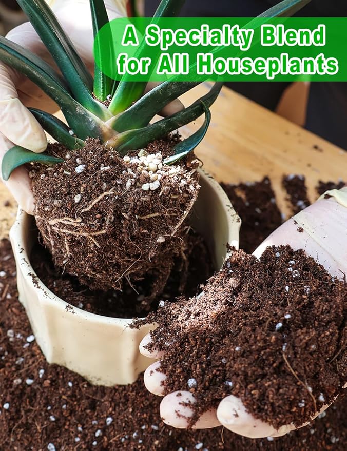 TOYPOPOR Potting Soil for All Indoor Houseplants, (6qt) Contains Perlite, Peat Moss, Coco Coir, Rice Charcoal, Well Draining Potting Mix Light, Aerated Texture for Healthy Plant Roots, Fast Growth