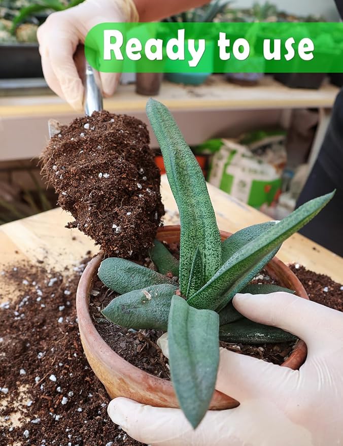 TOYPOPOR Potting Soil for All Indoor Houseplants, (6qt) Contains Perlite, Peat Moss, Coco Coir, Rice Charcoal, Well Draining Potting Mix Light, Aerated Texture for Healthy Plant Roots, Fast Growth