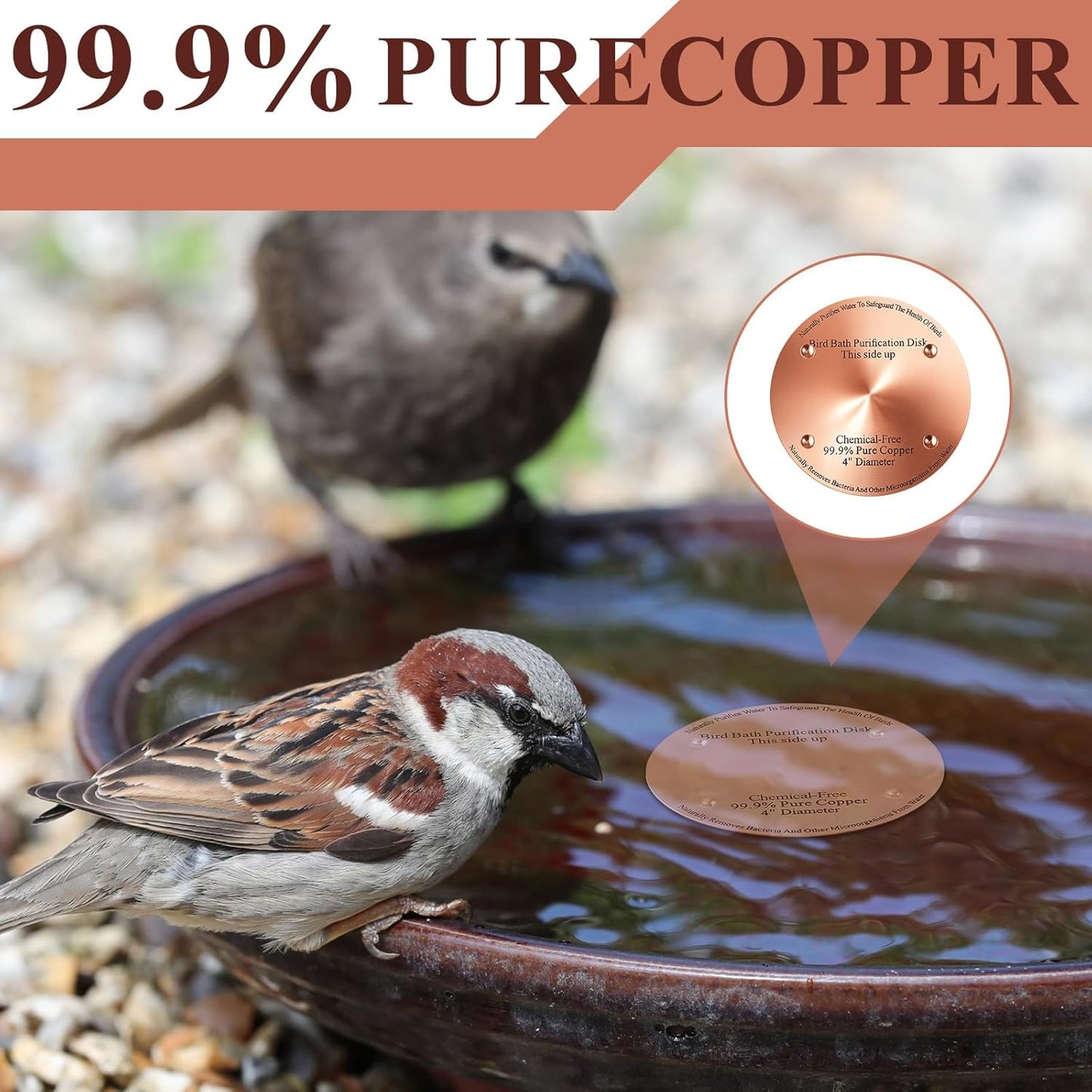 1 Pcs Bird Bath Copper Disk, 0.6mm Thick Reinforced 99.99% Pure Copper Birdbath Purification Disk, with 4 Point Support for Outdoor Birdbaths Bowls Cleaner, 4 Inch (Classic)