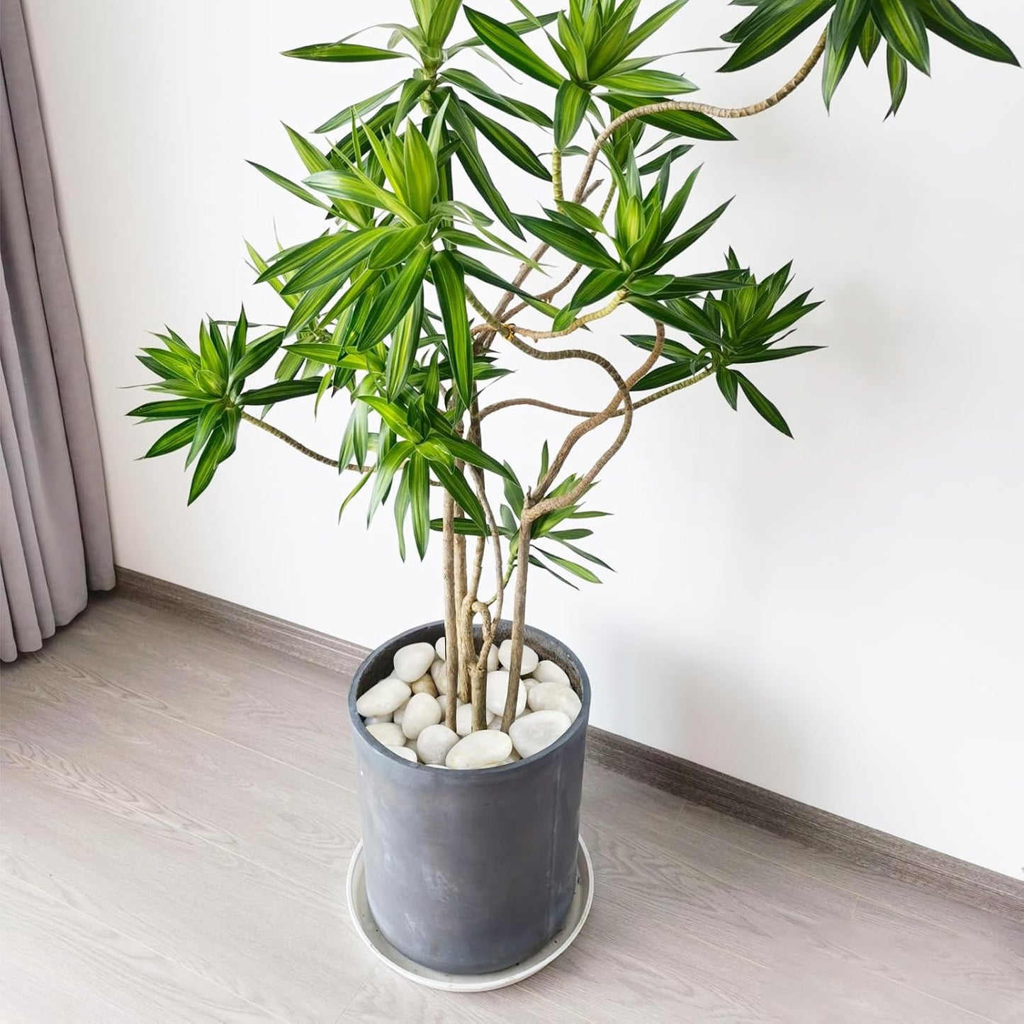 20 lbs White River Rocks, 1-2 inch Polished Pebbles for Indoor Plants, Decorative White Stones for Planters, Vase, Aquarium, Fish Tank, Landscaping and Garden