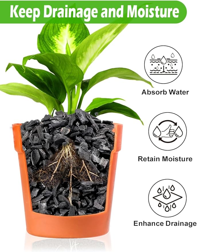 TOYPOPOR Horticultural Charcoal for Indoor Plants (6 Quarts) Hardwood Potting Soil Amendment Helps Improve Drainage for Orchids, Succulent, Cactus, Terrariums, and Gardening