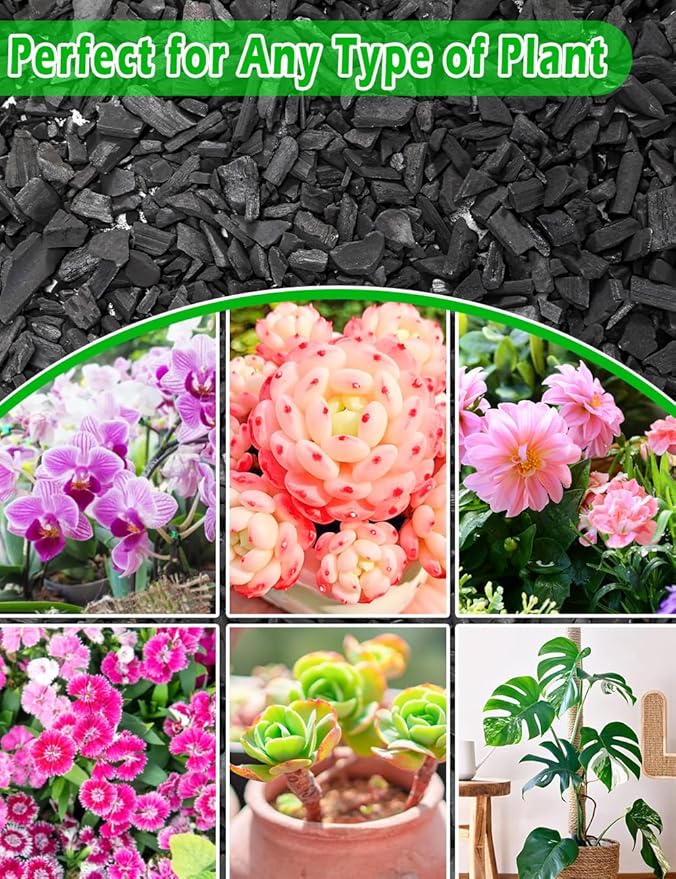 TOYPOPOR Horticultural Charcoal for Indoor Plants Hardwood Potting Soil Amendment Helps Improve Drainage for Orchids, Succulent, Cactus, Terrariums, and Gardening 1Quart