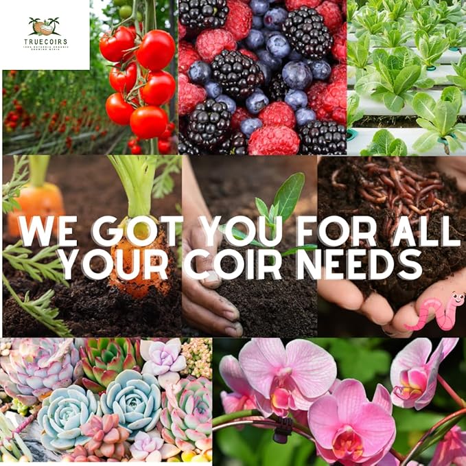 10 LB Premium Organic Coco Coir Compressed Natural Brick with Low EC and PH Balance - High Expansion for Indoor and Outdoor Potting Soil, Renewable Coco Soil for Gardening