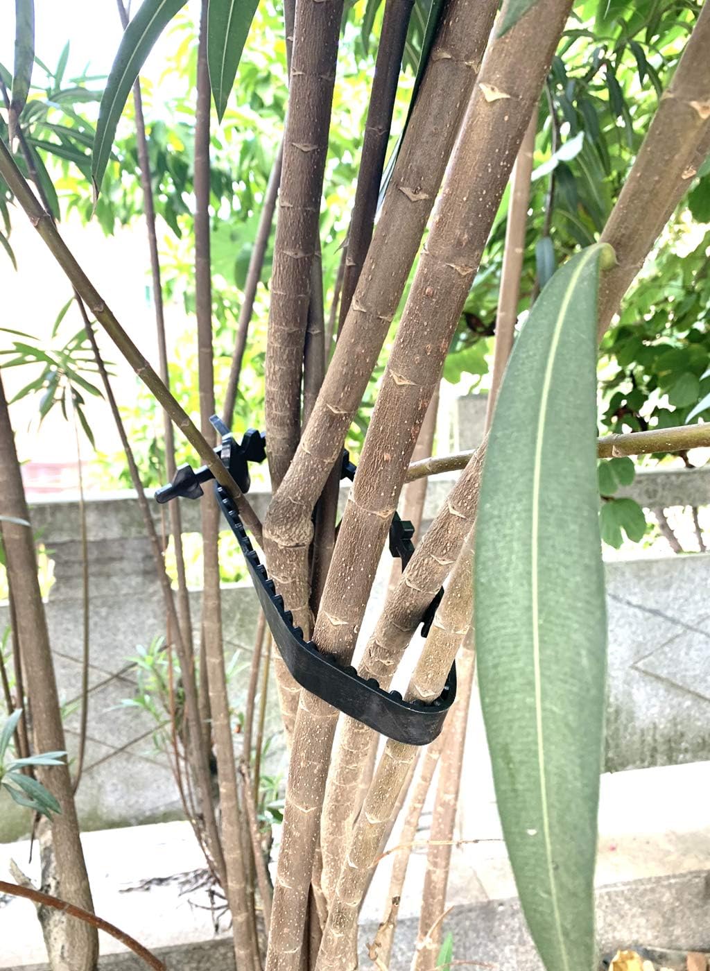 10 Pcs Tree Stake Supports Adjustable Tree Plant Ties Tree Training System, Heavy Duty Tree Stake Straps for Straightening, Reinforced Straps forTrees (5 Pcs 23.6 in + 5 Pcs 17.7 in)