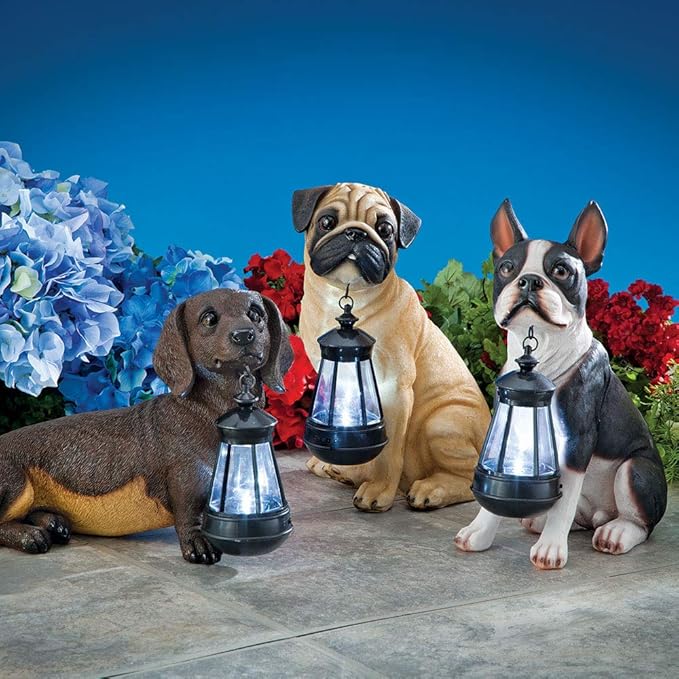 Bits and Pieces - Boston Terrier Solar Lantern Statue - Yard Decorations - Solar Powered Garden Lantern - Resin Dog Sculpture - Outdoor LED Lighting