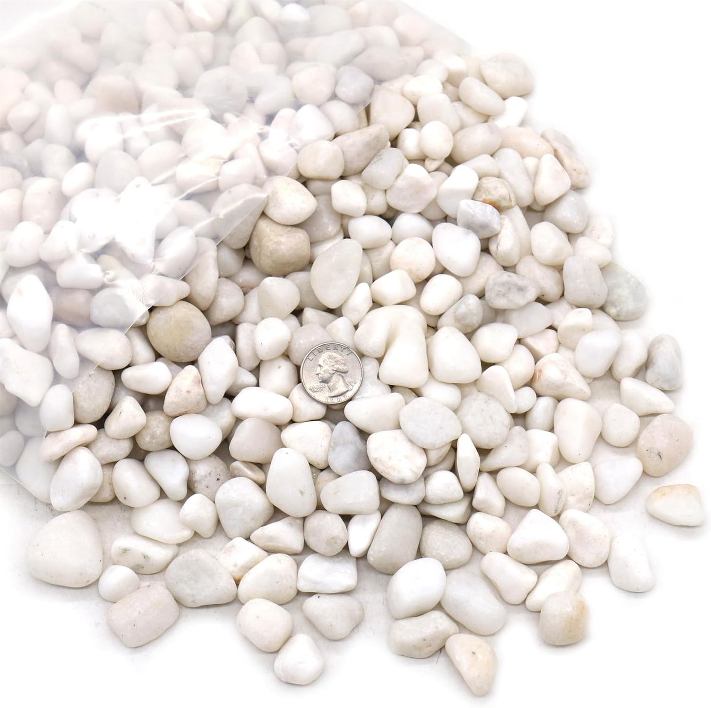 Rocks for Plants. White Lightly Polished Decorative Pebbles. 0.5 to 1 Inch 18 lbs. for Garden, Landscaping, Indoor, Vase fillers, Crafting, Succulents, pots, Plants