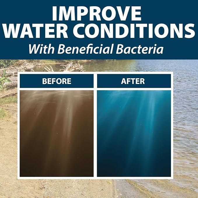 Airmax Pond Dye Plus, Twilight Blue Colorant & Natural Beneficial Bacteria, Large Pond & Lake Water Clarifier & Color Treatment, Shade Plants & Algae from Sunlight, Fish & Livestock Safe, 1 Gallon