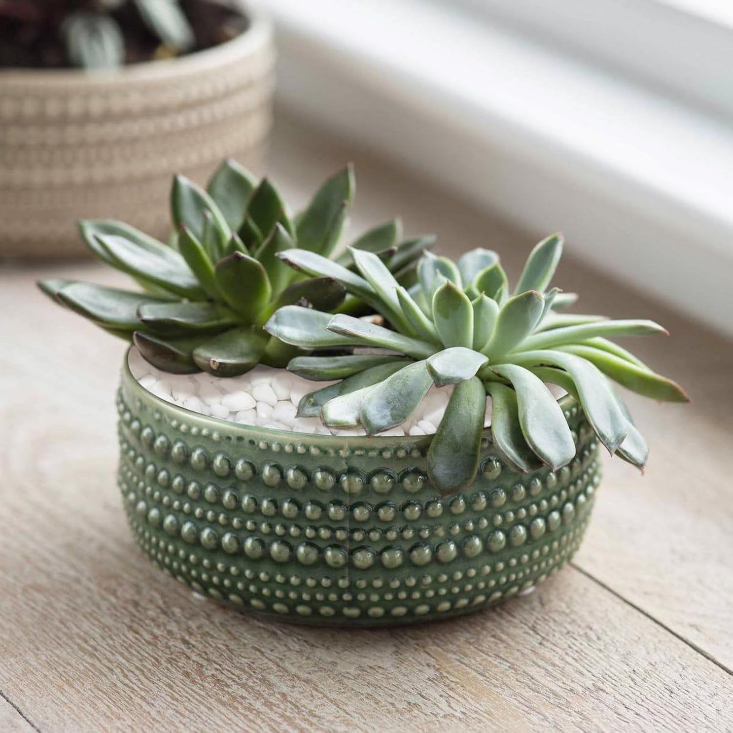 30 LB White Pebbles for Plants, 3/8 inch White Rocks for Vases Landscaping, Small Decorative Stones for Indoor Outdoor, Polished