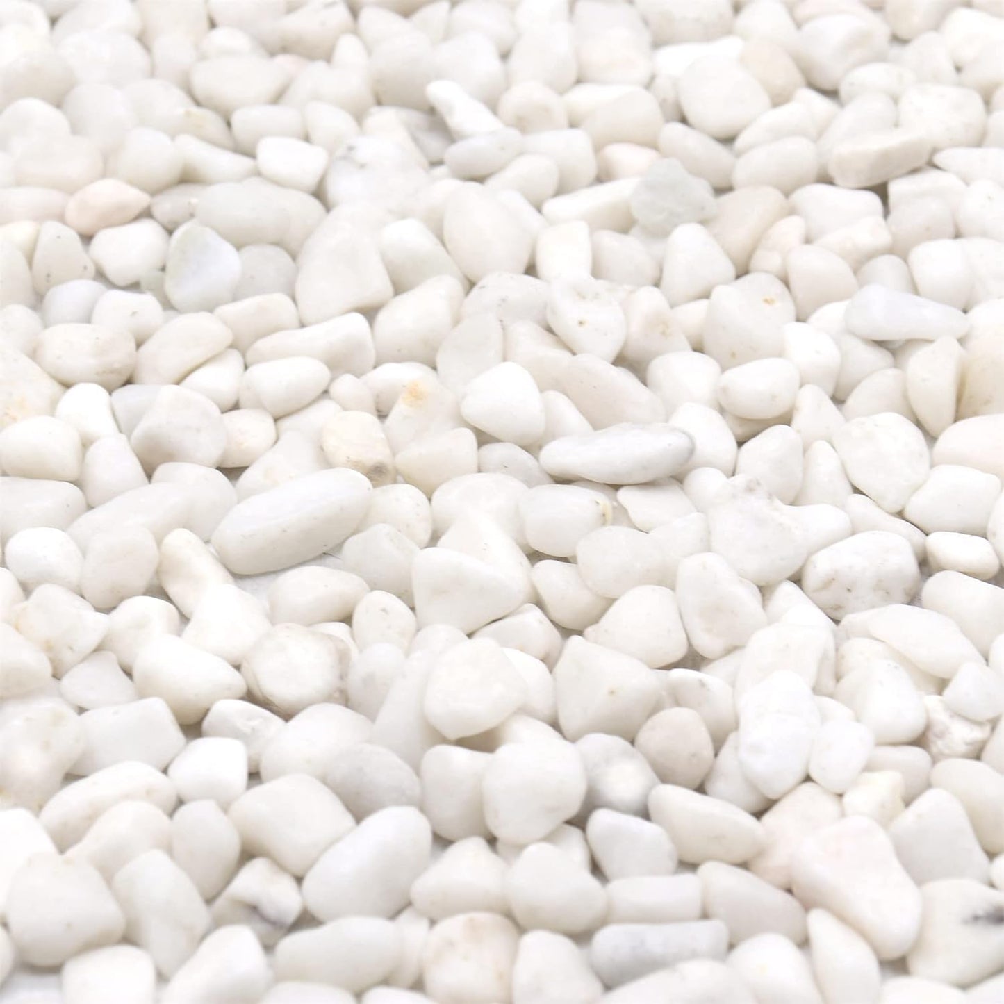 White Rocks for Plants. White Decorative Polished Pebbles. 3/8 Inch – 10lbs for Plants,Garden, Landscaping, Succulents, pots, Plants (XSM (0.375 Inch), White - Lightly Polished, 10)
