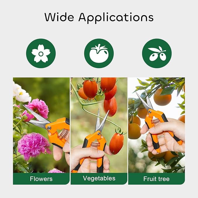 GROWNEER 3 Packs 6.5 Inch Pruning Shears Gardening Hand Pruning Snips Gardening Scissors with Straight Stainless Steel Precision Blades