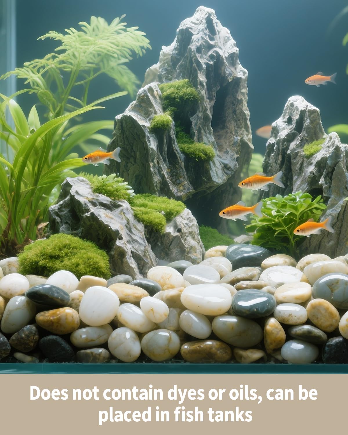 6lb Natural Polished River Rocks - 5/16-5/8 Inch Decorative Stones for Plants Garden Landscaping & Outdoor Decor Small Smooth Pebbles for Indoor/Outdoor