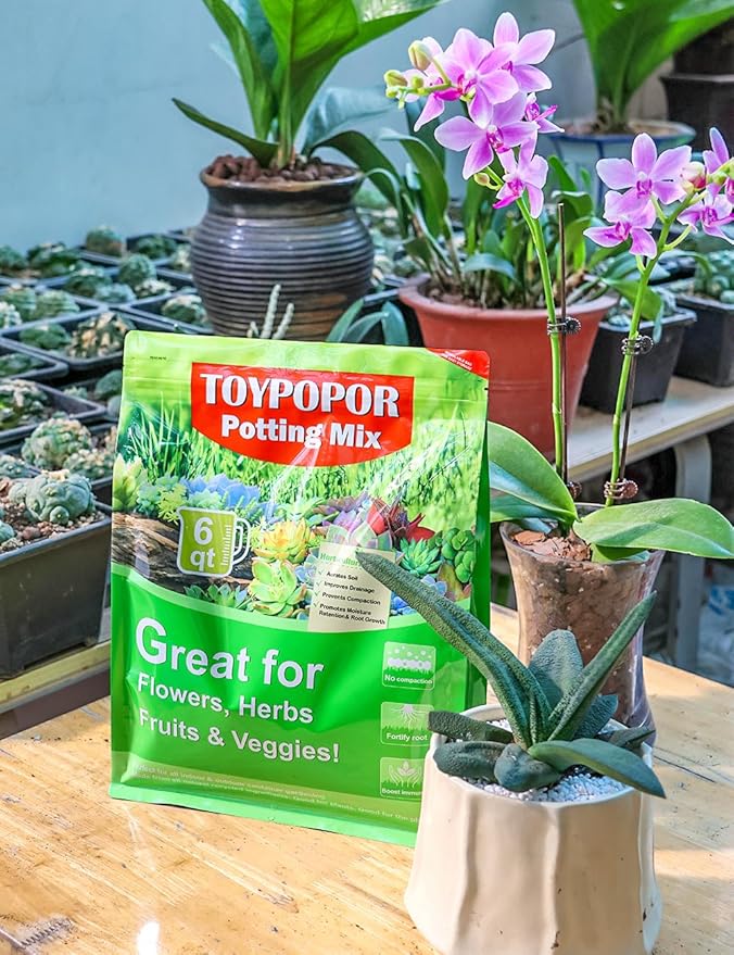 TOYPOPOR Perlite for Plants, (3qt) 3-6mm Organic Perlite for Gardening, Perlite for Plants Indoor, Soil Additive Conditioner Mix Improve Drainage and Ventilation Promote Root Growth and Soil Health
