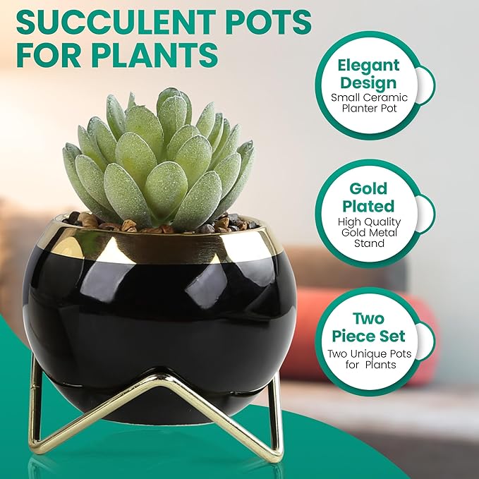 Set of 2 Artificial Succulents in Ceramic pots with Elegant Iron Frames and Delicate Flowers - Elevate Your Space with a Stunning Fake Plant Arrangement for Stylish Home Decor