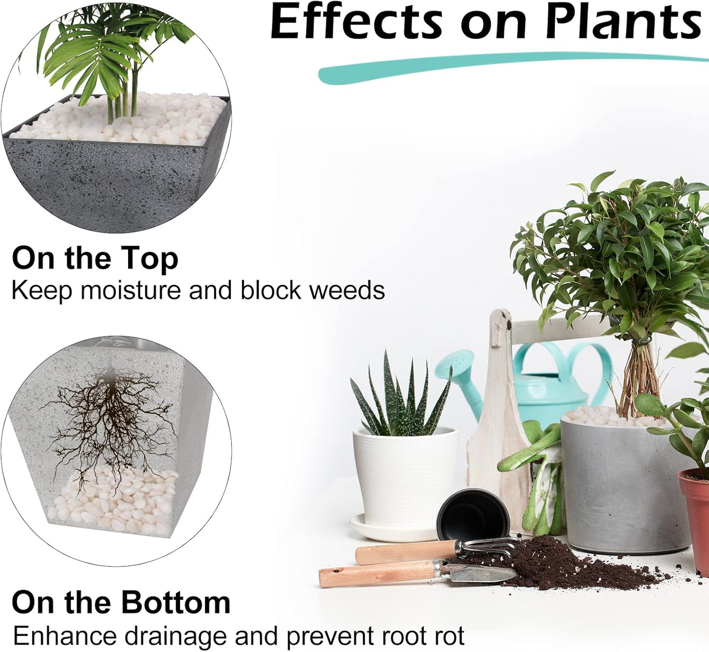 GASPRO 10 lbs White Pebbles for Plants, Vases, and Landscaping in Garden - Highly Polished 3/8" Small Rocks for Indoor and Outdoor Decor