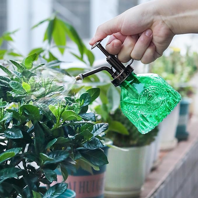 Glass Plant Mister Spray Bottle, Vintage Plant Spritzer Watering Can, Succulent Watering Bottle with Top Pump, Small Plant Sprayer Mister for Indoor Outdoor House Plant - Green