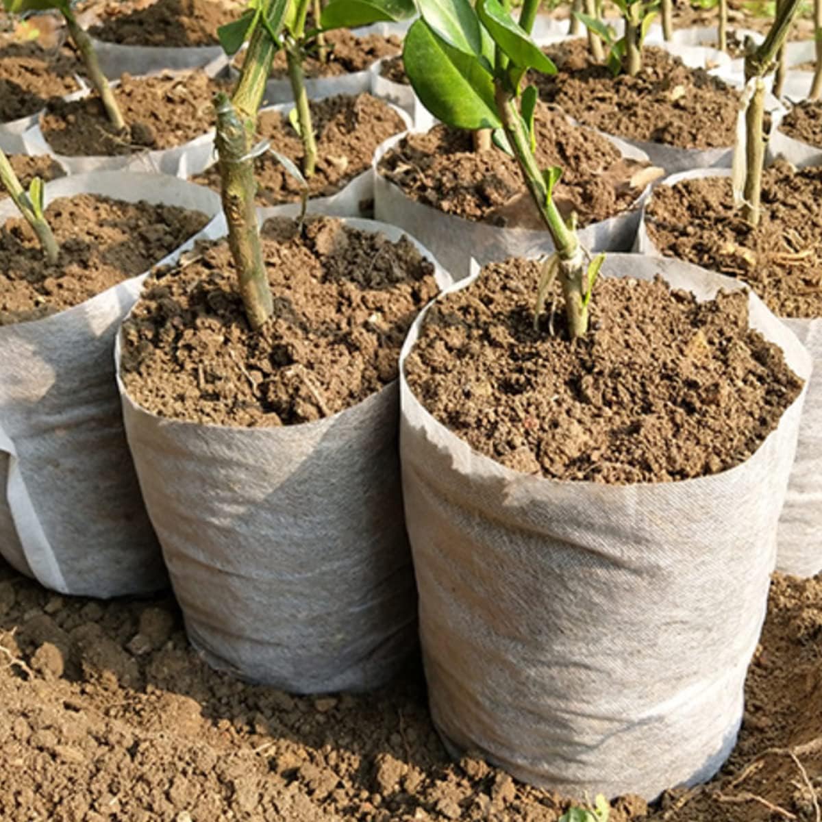 gardtree Plant Nursery Bags 5.5 * 6.3 inches 400PCS, Non-Woven Plant Grow Bags Fabric Seedling Starter for Vegetable Flower Fruit Saplings Tree, Home Garden Supply
