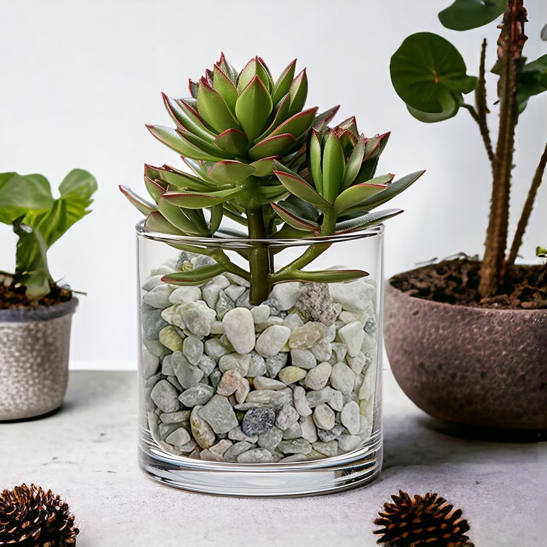 HappyFiller 1.1 LB Natural Decorative Small Jade Gravels Mini River Rocks Soil Cover Pebbles Stones for Succulent Plant,Planter Bonsai,Fairy Garden,Candle Home Decor,Light Green Mix