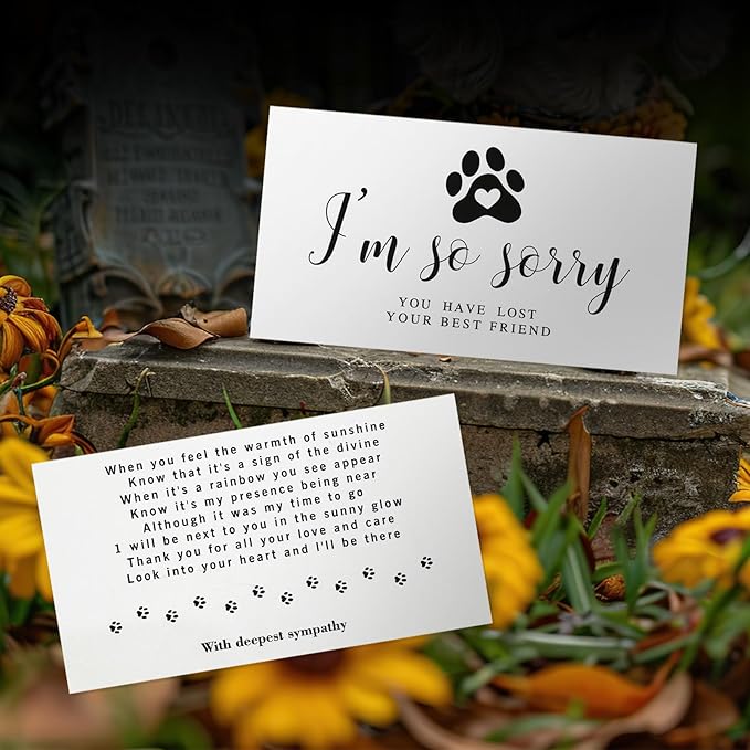 Pet Memorial Sun Catcher,Dog Passing Away Gifts,Pet Loss Sympathy Gift,Rainbow Bridge Paw Crystal Suncatcher,Thoughtful Cats and Dogs Remembrance,Bereavement Gifts