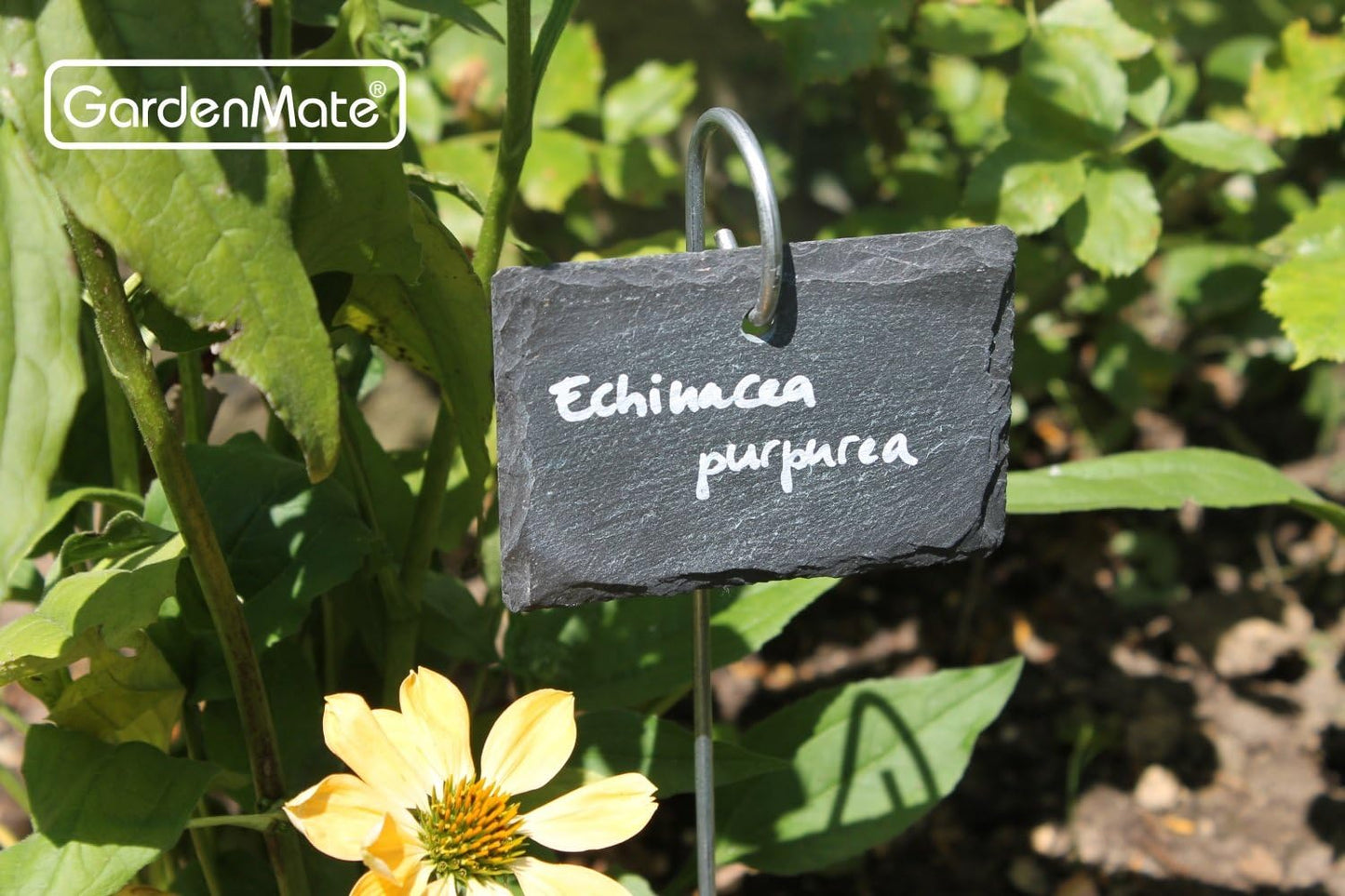 GardenMate 5-Pack Natural Style Slate Plant Labels (4"x 2 3/4") Hanging from a Stainless Steel Metal Rod (17")