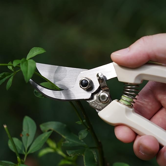 7" Small Pruning Shears Garden Shears - Premium Alloy Steel Bypass Pruner, Precision-ground Blades, Heavy Duty Gardening Tools, Ivory