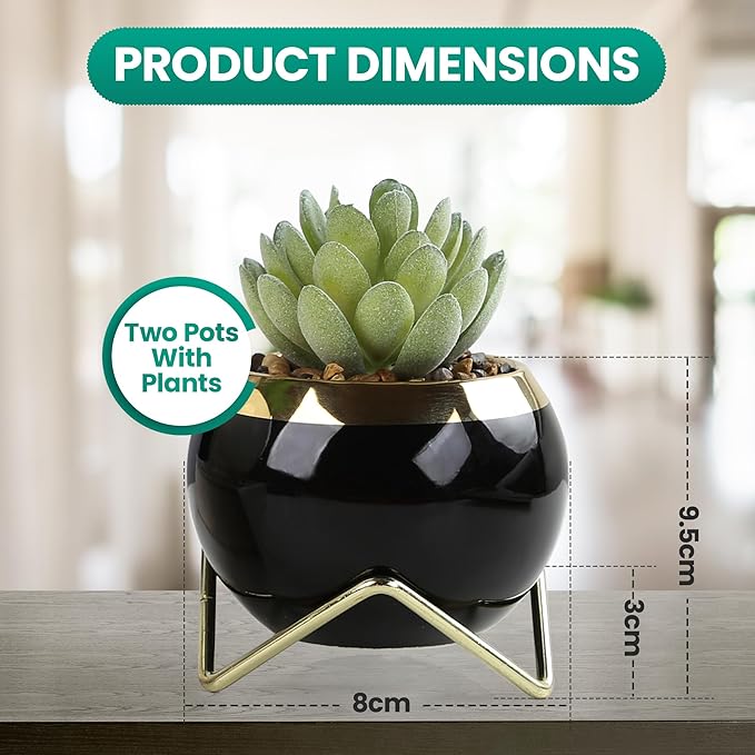 Set of 2 Artificial Succulents in Ceramic pots with Elegant Iron Frames and Delicate Flowers - Elevate Your Space with a Stunning Fake Plant Arrangement for Stylish Home Decor