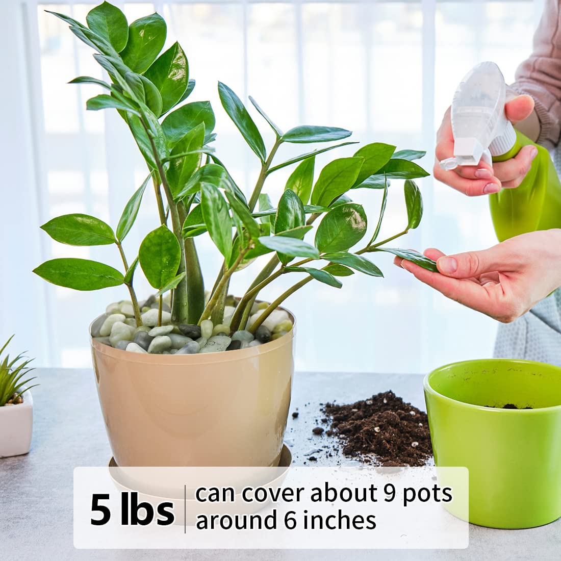 5LB Succulent and Cactus Jade Pebbles, 3/8 Inch Natural Decorative Polished Stones, River Rocks for Indoor Plants, Vases, Planters and Outdoor Gardening