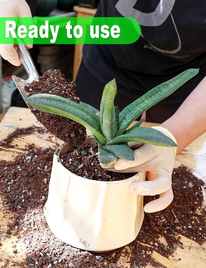 TOYPOPOR Succulent Soil, Cactus Potting Mix 1.25 Pounds/1 Quart, High Drainage, Pre-Mixed Ready to Use for All Succulent Varieties, Indoor Plants, Bonsai, Terrarium, Houseplant, 30% Particles 70% Soil