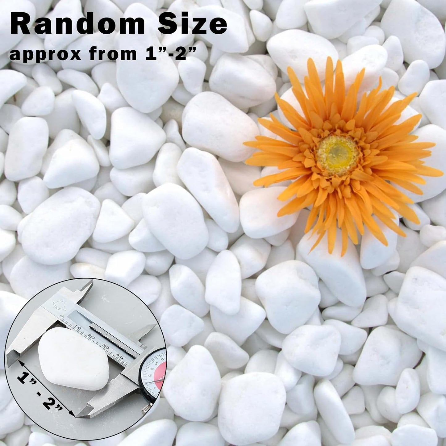 17.6 Lbs Natural River Rocks for Plants 1''-2'' Large Landscaping Garden Stones White Aquarium Gravel Decorative Pebbles for Indoor Outdoor Planters, Big Terrarium Rocks in Bulk, Home Decor