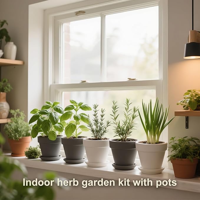 10 Indoor Herb Garden Kit, 33pcs Complete Kitchen Herb Starter Set Including 4-Color Pots, Soil & Tools, Unique Gift Ideas for Plant Lovers, Women, Men, Mom, Friend, Birthday, Housewarming, Christmas