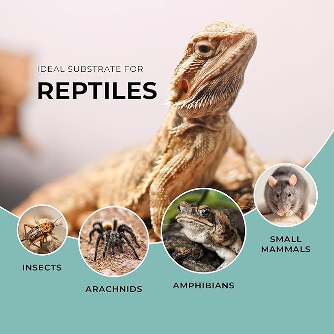 Mycelium Coco Coir Brick I Expandable Organic Coconut Fiber Substrate for Terrarium I Ideal for Reptiles Bedding, Nesting & Burrowing I OMRI Certified & Non-GMO Soil Alternative, 10lbs