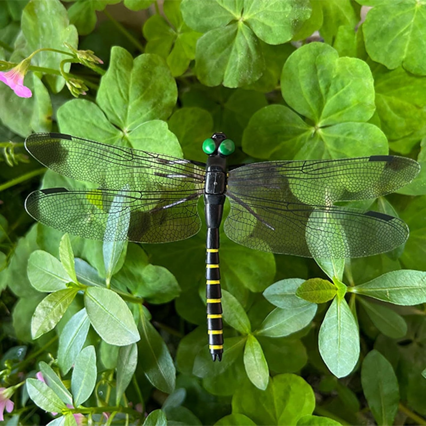 20 Pcs Dragon Fly Clips for Bugs Repellent, 3D Artificial Dragonfly Hat Clip, Dragonfly Garden Decor (20, Black*20 Pcs)