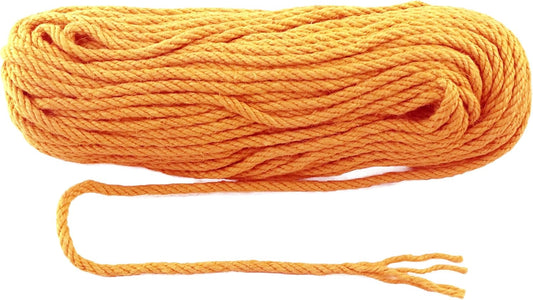 6mm x 100 Feet Orange Jute Rope, Twine for Gardening Tomato Climbing Plant Tie Floristry Crafts Gift Wrapping Packing Decor
