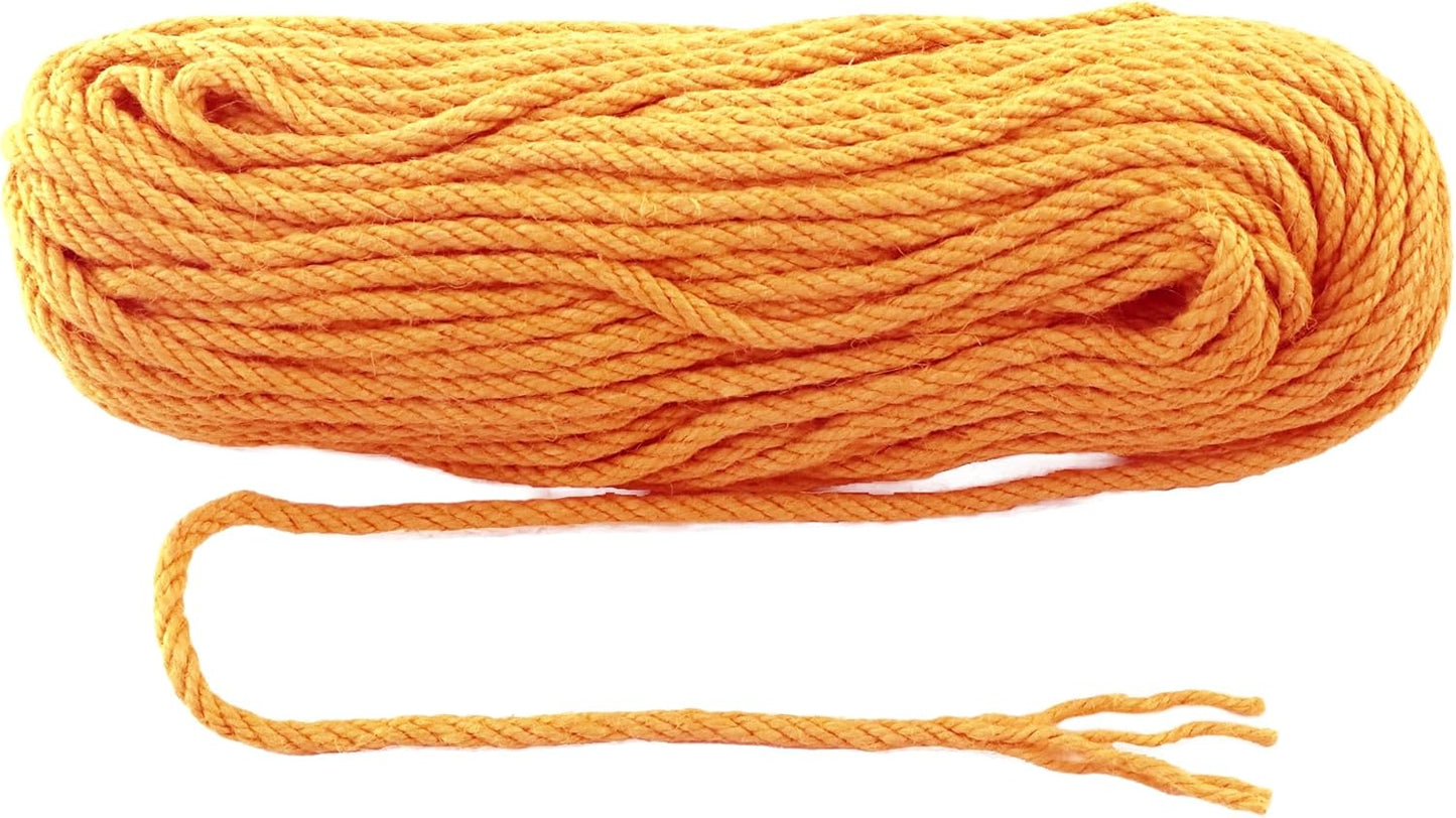 6mm x 200 Feet Orange Jute Rope, Twine for Gardening Tomato Climbing Plant Tie Floristry Crafts Gift Wrapping Packing Decor